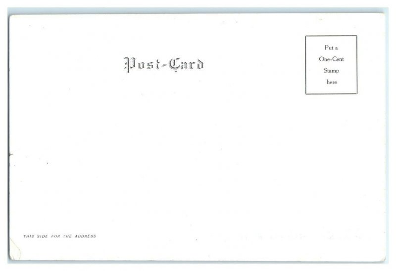 Waupaca Co. Insane Asylum, Weyauwega, WI Postcard *7G5