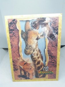 Kariega Game Reserve Port Elizabeth South Africa Vintage Postcard Posted 2002