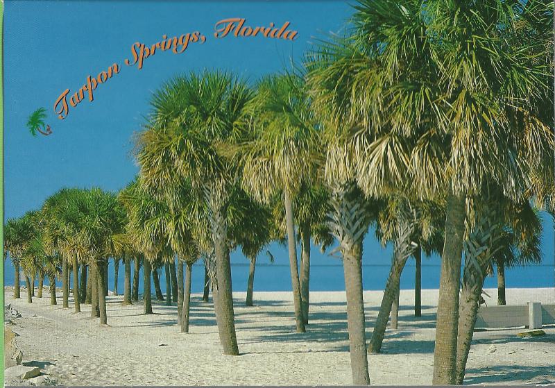 HOWARD PARK BEACH POSTCARD TARPON FLORIDA USA UNITED STATES UNUSED  