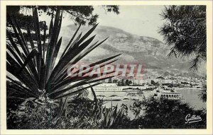 Modern Postcard Monte Carlo Between arbes