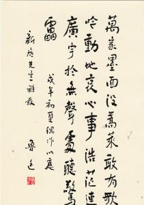 Lot 9 cards chinese caligraphy Lu Hsuns poems poetry satire song China