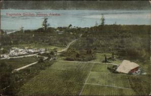 Juneau AK Vegetable Garden c1910 Postcard