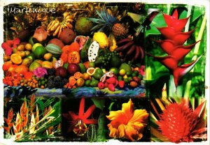 CPM Fleurs et fruits tropicaux MARTINIQUE (872020)
