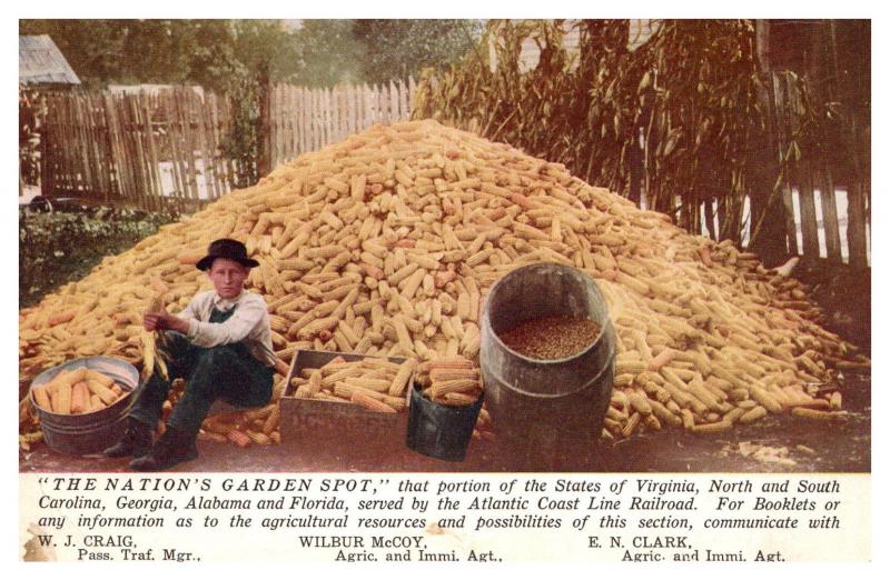 Jerry Moore age 15 , produced 228 3/4 Bushels of Corn 