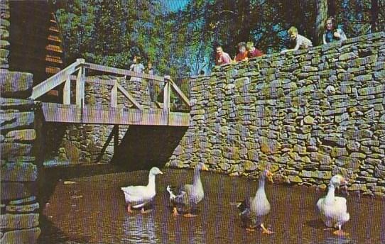 Massachusetts Sturbridge Village Geese Promenading At The Gristmill