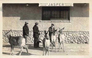 RPPC Feeding Deer JASPER PARK Alberta, Canada c1920s Taylor Vintage Postcard