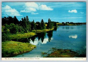 Mill River, West Prince County, Prince Edward Island, 1977 Chrome Postcard