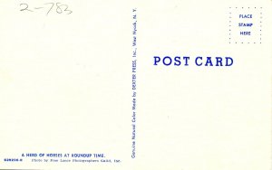 Wild Horses at Roundup