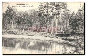 Old Postcard Montargis Water intake in the Forest