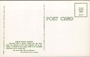 Postcard HI Sugar Fields