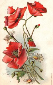 Vintage Postcard 1910's Rose and Asters Flower Bouquet Remembrance Card 