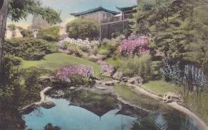 Maine Ogunquit The Dan Sing Fan Tea House And Gift Shop Albertype