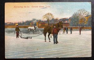 Mint Canada Color Picture Postcard Winter Scene Harvesting Ice