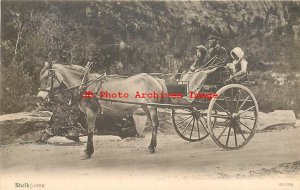 Native Ethnic Culture Costume, Stolkjaerre,Family in Horse Drawn Carriage,Norway