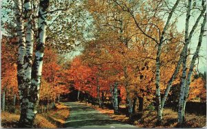 Windermere Cottages Stanhope Beach PEI Prince Edward Island PE  Postcard F76