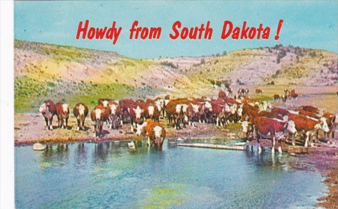 Greetings From South Dakota With Cattle Scene 1993