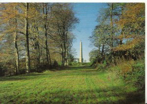 Wiltshire Postcard - Stourhead - Ref TZ8544