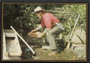 Canada Postcard - Searching For Gold, Goldpanning, British Columbia B2296