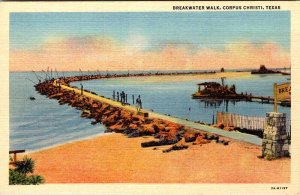 Postcard BUSINESS ACTIVITY SCENE Corpus Christi Texas TX AM1776