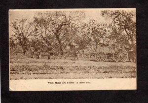 TX When Mules are Scarce US Army Pulling Wagon Llano Grande Texas Mexican War?
