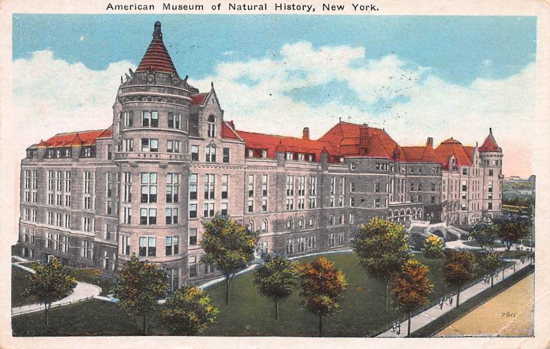 American Museum of Natural History, New York, N.Y., Early Postcard, Used in 1925