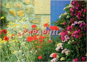 Postcard Modern Colors of Britain