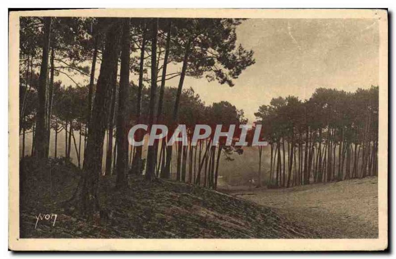 Old Postcard Arcachon Large Dunes City Winter