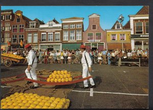 Netherlands Postcard - Alkmaar - Kaasmarkt   B2619