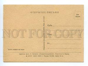 132646 Russia LENINGRAD Sunset at Sea Old 1949 PC