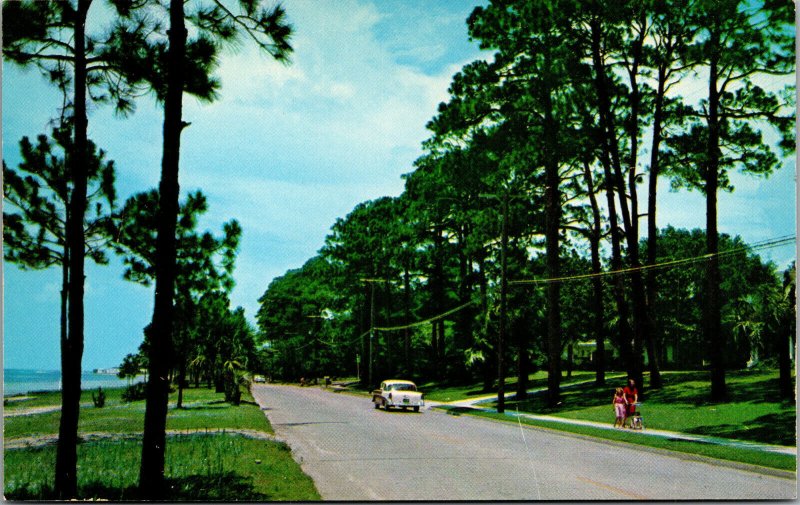 Vtg 1950s Beach Drive Along St Andrews Bay Panama City Florida FL Postcard