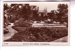 Real Photo, Bishops Rd Garden Peterborough England, Kingsway Series S 1587
