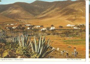 Postal 044668 : Vega de Rio Palmas - Fuerteventura