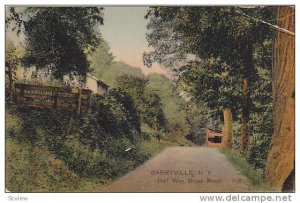 Half way, Brook Road, Barryville,New York, PU-1907