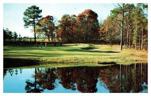 POSTCARD SCENE Pinehurst North Carolina NC AT3883