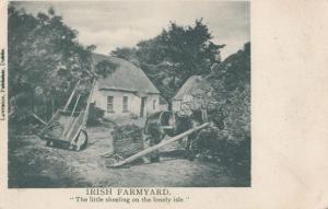 Irish Farmyard The Little Sheeling on the Lonely Isle Lawrence Old Postcard