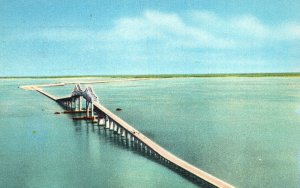 Vintage Postcard 1956 Sunshine Skyway Connecting St. Petersburg & Bradenton Fla.