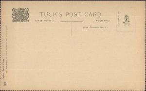 Scarce Unnumbered TUCK Series Bug Insect Study Perforated Edges Postcard #5