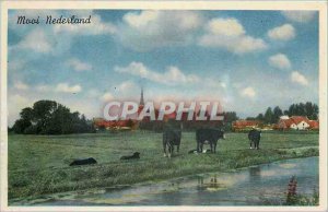 Old Postcards Mooi Nederland