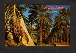 CA The Date Empire Trees Indio California Postcard Harvesting of Dates