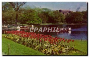 USA Old Postcard Boston Public Gardens