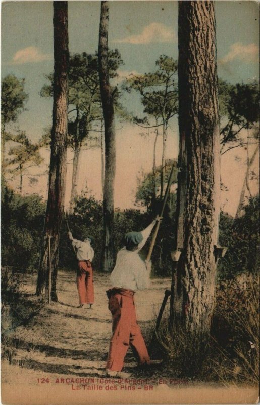 CPA ARCACHON-En Foret-La Taille des Pins (27736)