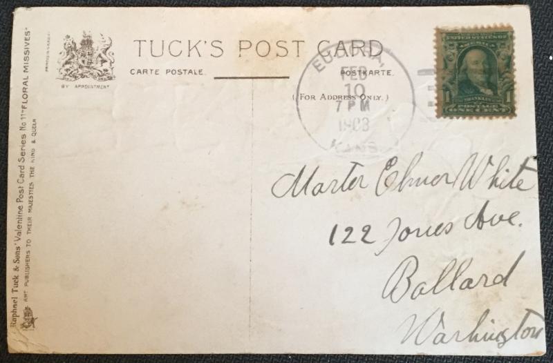 Postcard Used  Child/Pansies Valentine Tuck’s Post Card LB
