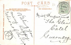 uk48504 north castles dublin ireland cows