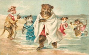 Postcard 1909 Seaside bears comic humor beach scene artist impression 23-6727