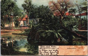 Brazil Santos Jardim Publico Vintage Postcard C131