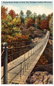 Illinois Lookout Mtn. Swing Along Bridge  in Rock City