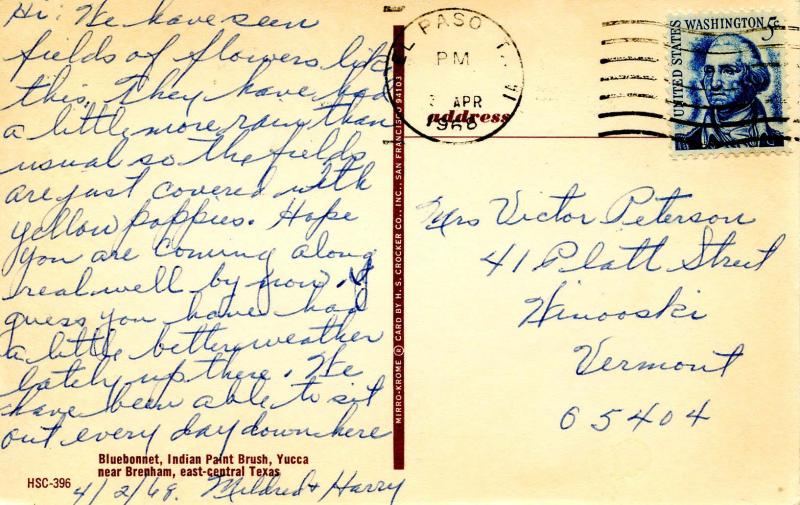 TX - Texas Bluebonnets