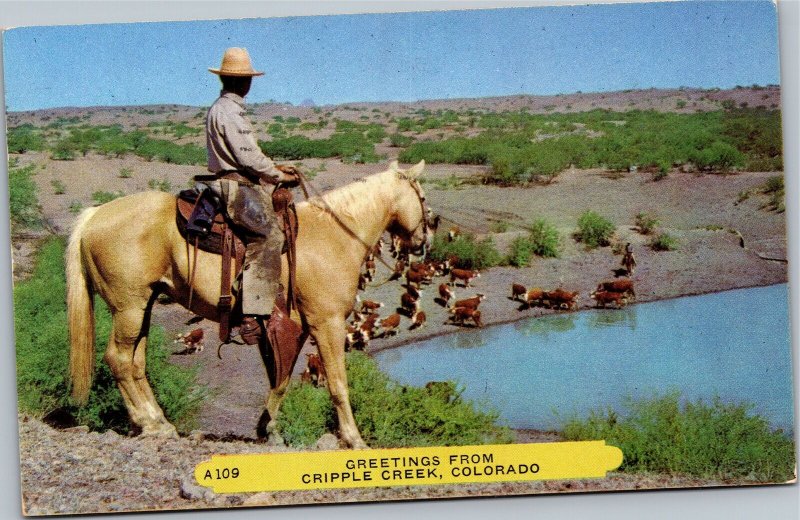Postcard CO Cripple Creek - Greetings from - man on horse overlooking cattle