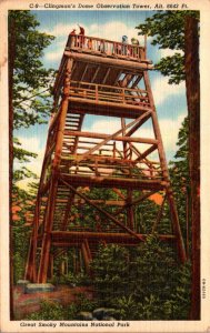 Great Smoky Mountains National Park Clingman's Dome Observation Tower Cu...