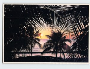 Postcard Beautiful Hawaiian Tropical Sunset Hawaii USA